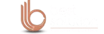 best-solution-logo